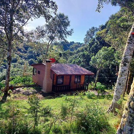 Las Bromelias Lodge Paso Macho Exterior foto