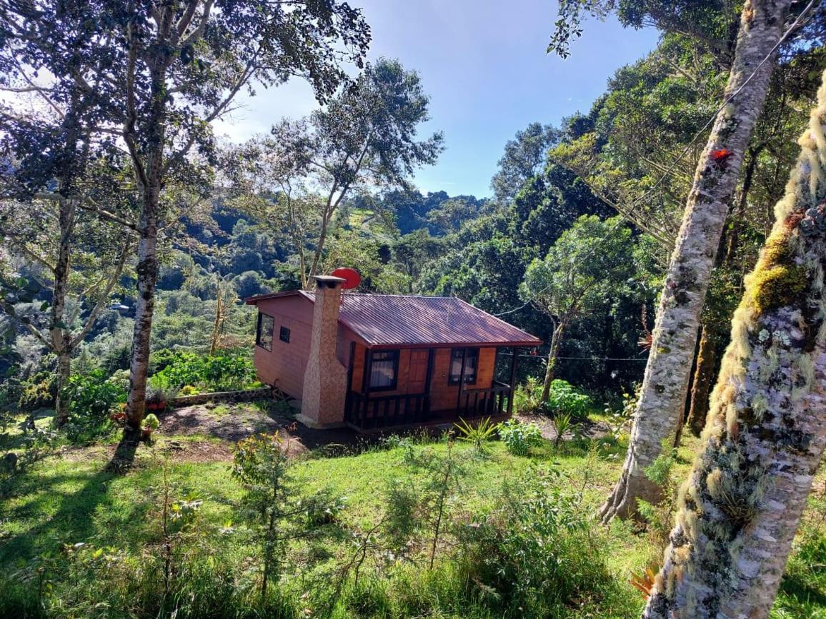 Las Bromelias Lodge Paso Macho Exterior foto