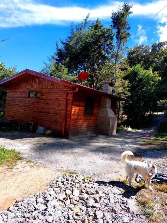 Las Bromelias Lodge Paso Macho Exterior foto